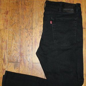 Levis Big E 510 Denim Pants
